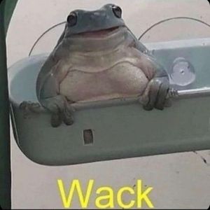 Meet your Posher, Leah